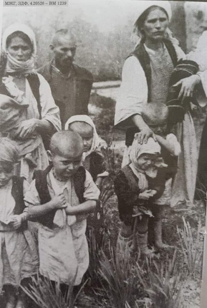 izbeg kozara ustas